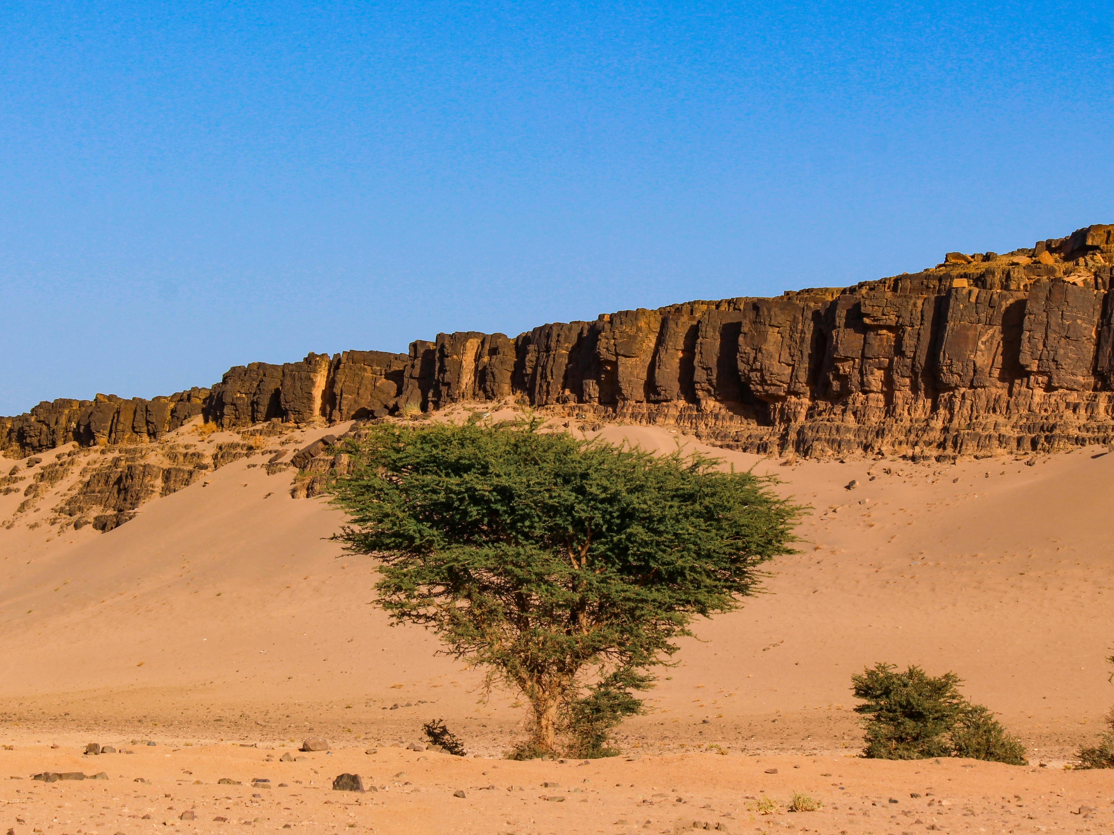 Dogon songs preserve accounts of Fulbe relations and prophecy
