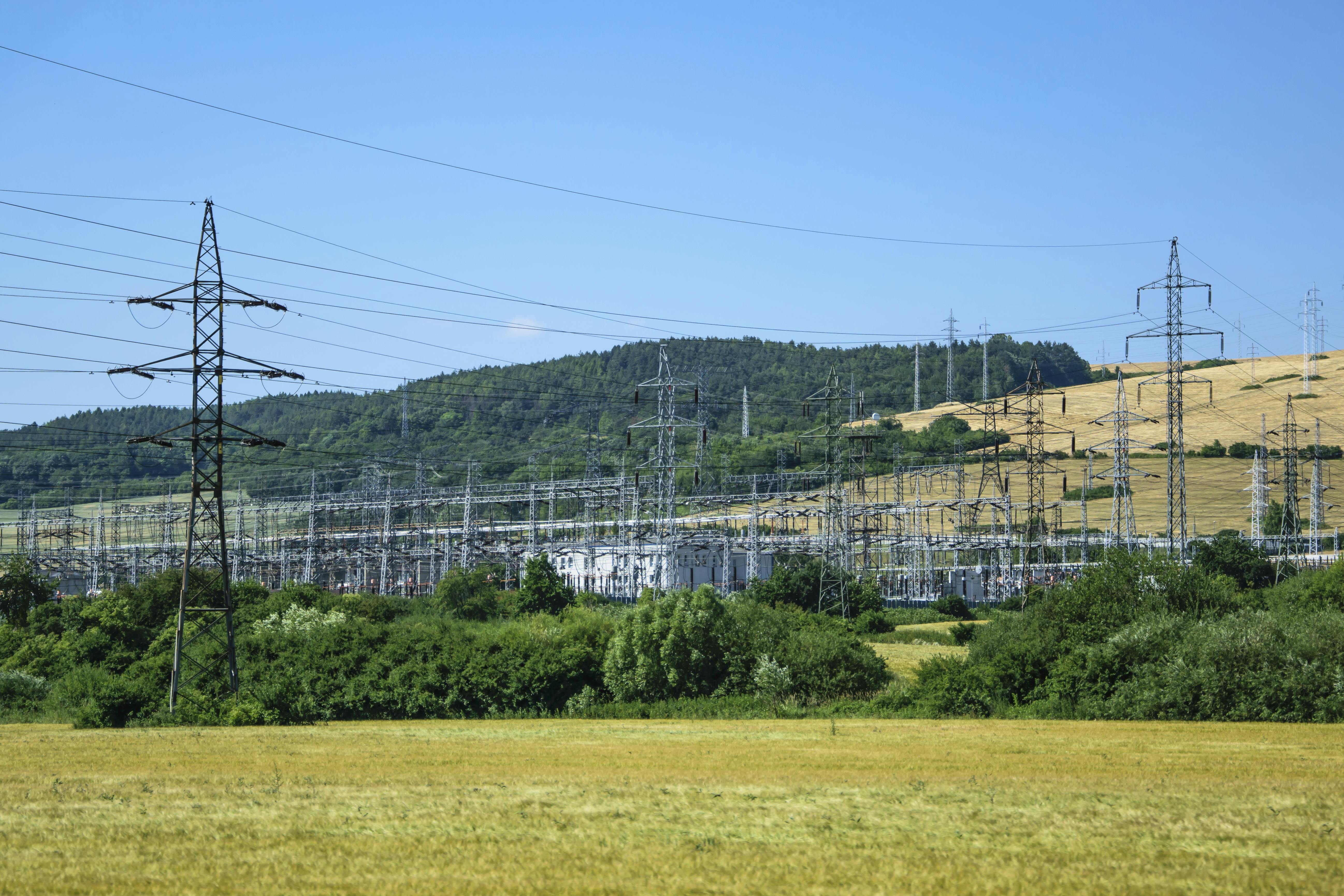 Digital economy is linked to better rural economy–environment coordination in China