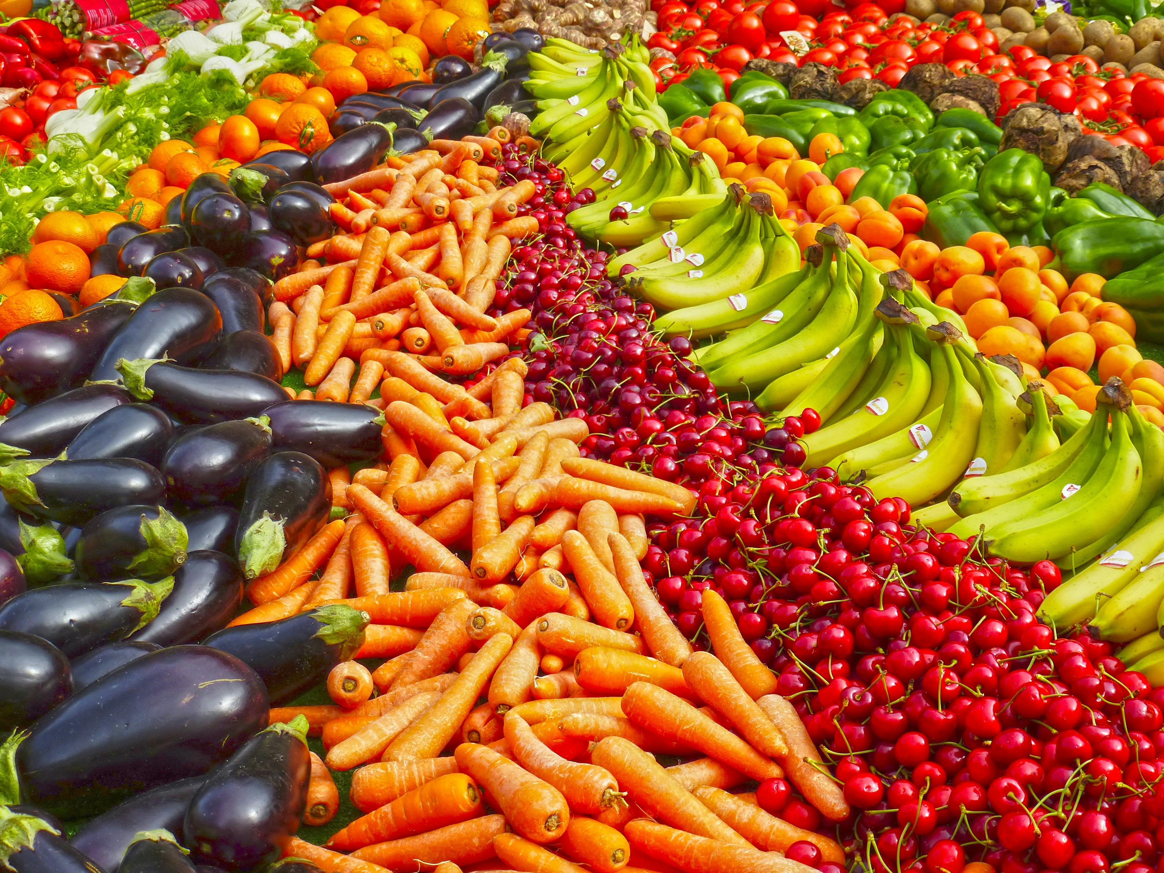 Hungarian Roma perceptions of healthy eating mostly matched dietary guidelines