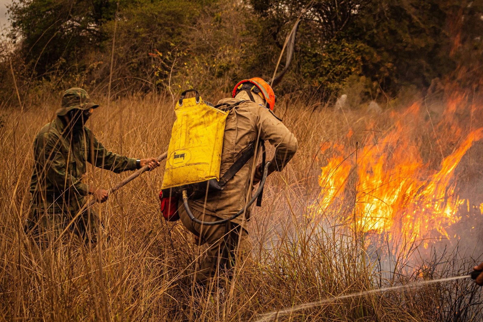 Rural social networks shaped wildfire response in Sweden
