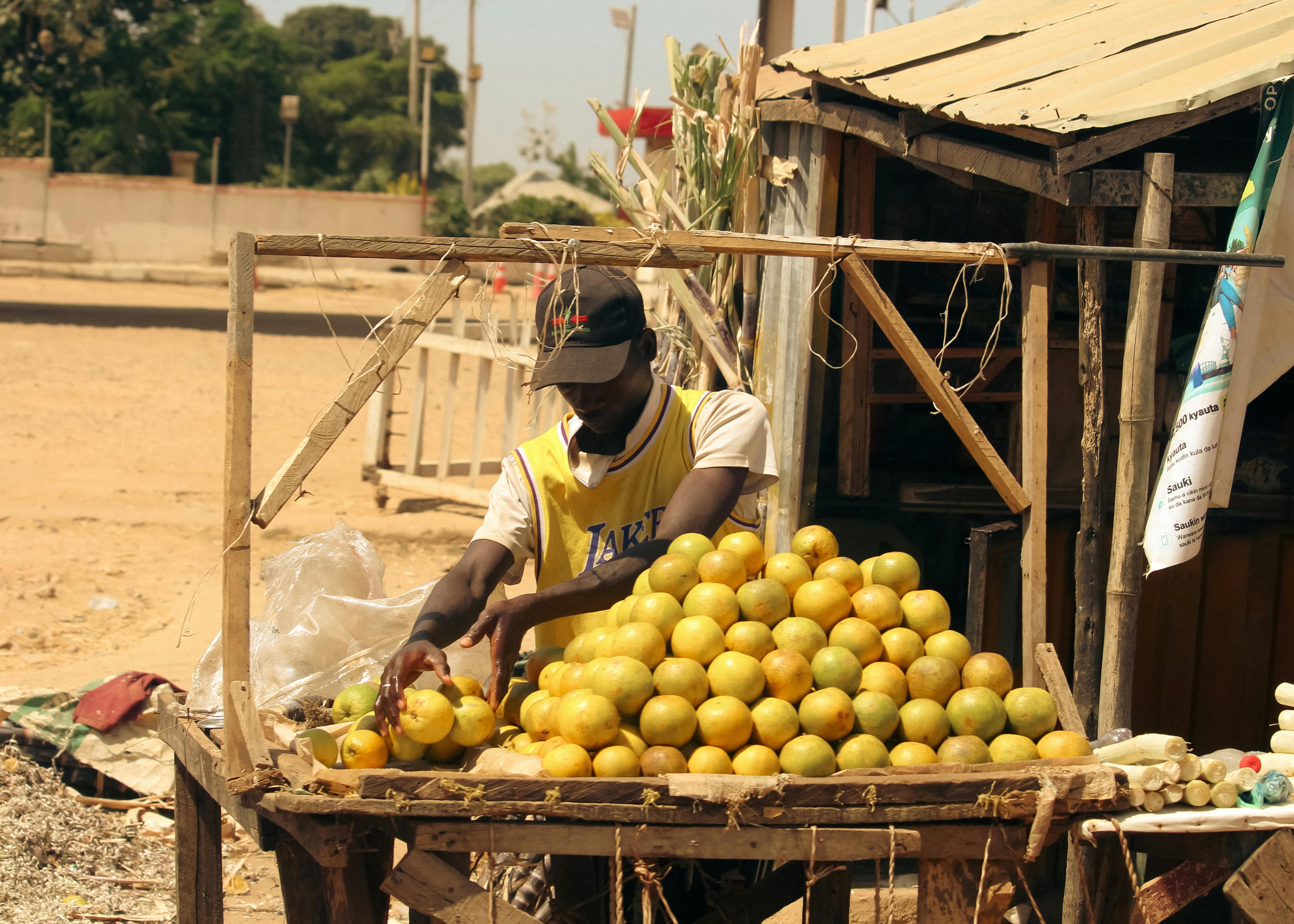 Dynamic price monitoring improved affordability forecasting in Lusaka