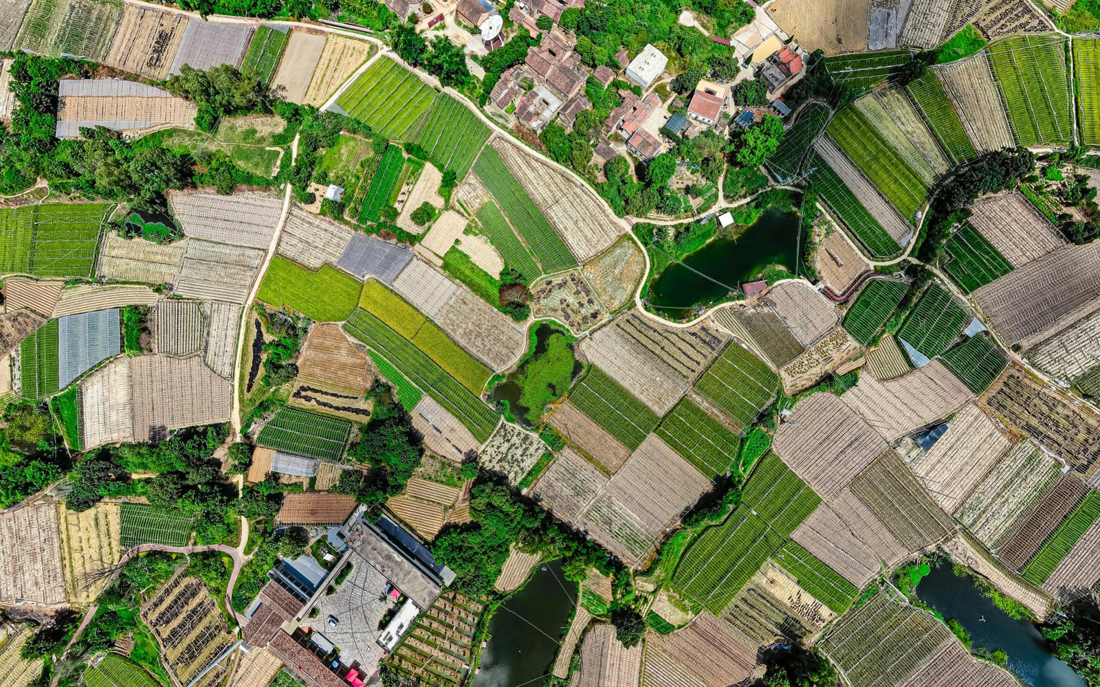 Aerial overhead view of a rural agricultural landscape showing a patchwork of diverse cultivated fields in various stages of growth, interspersed with small farmhouses, tree lines, and a winding waterway, demonstrating varied land management and community-based land use patterns.