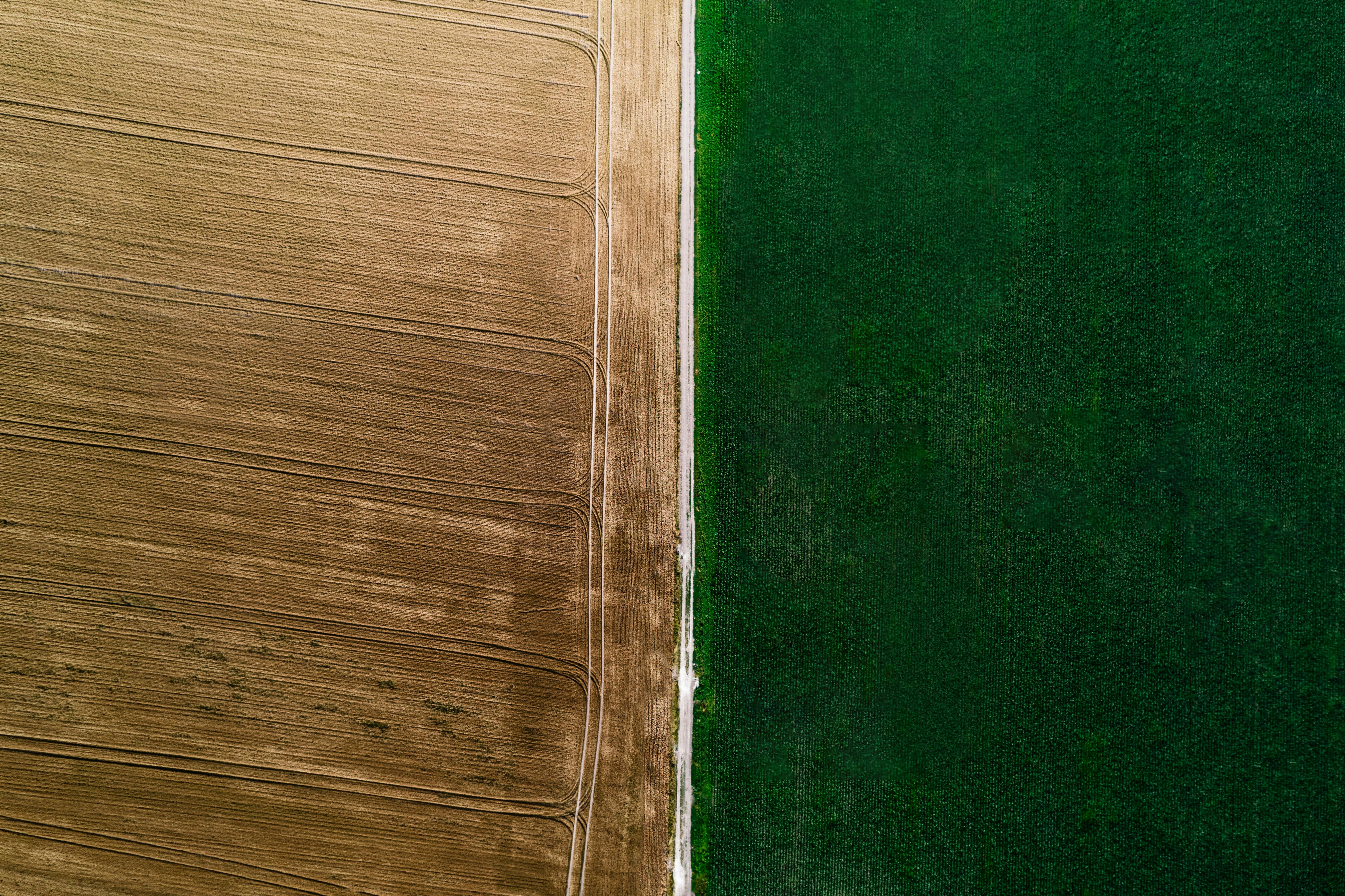 Western Ukraine is presented as promising for agricultural development