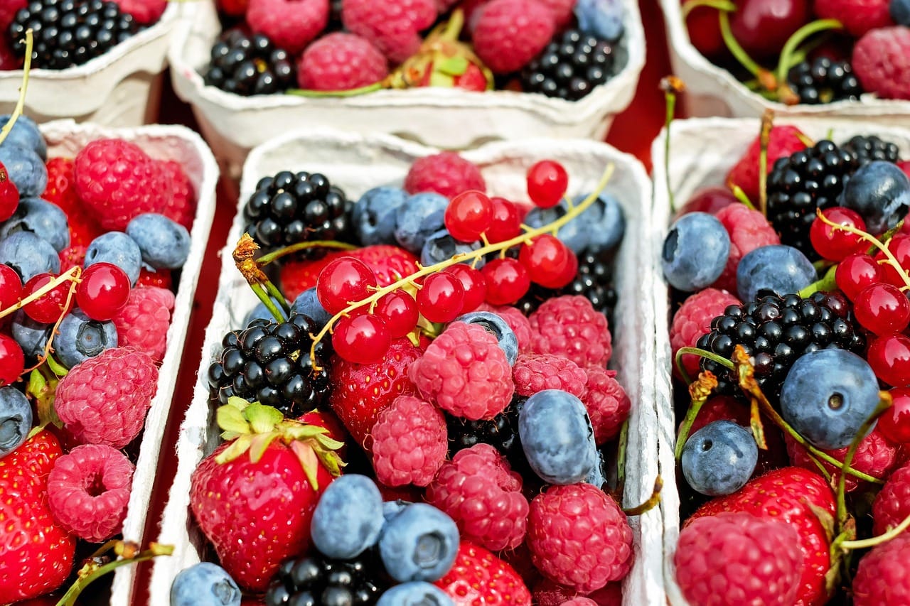 Polyphenols show both beneficial and harmful dose-dependent effects