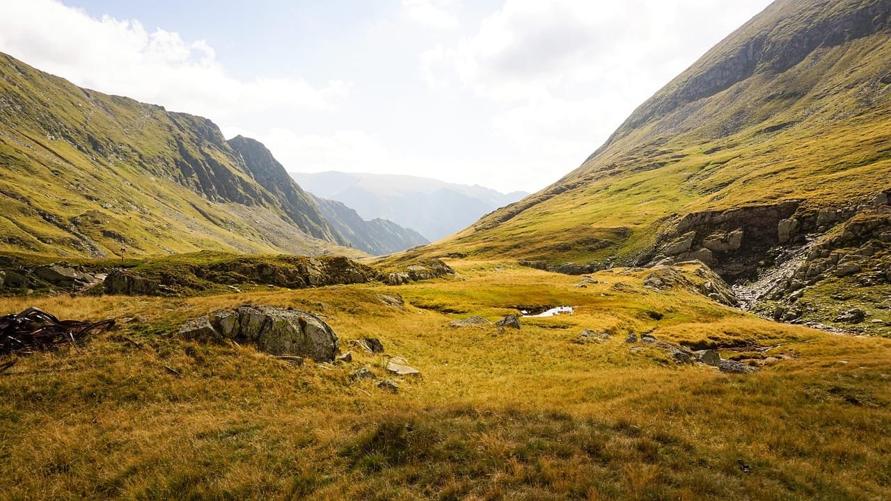 Global grassland productivity dataset spans 1958–2100