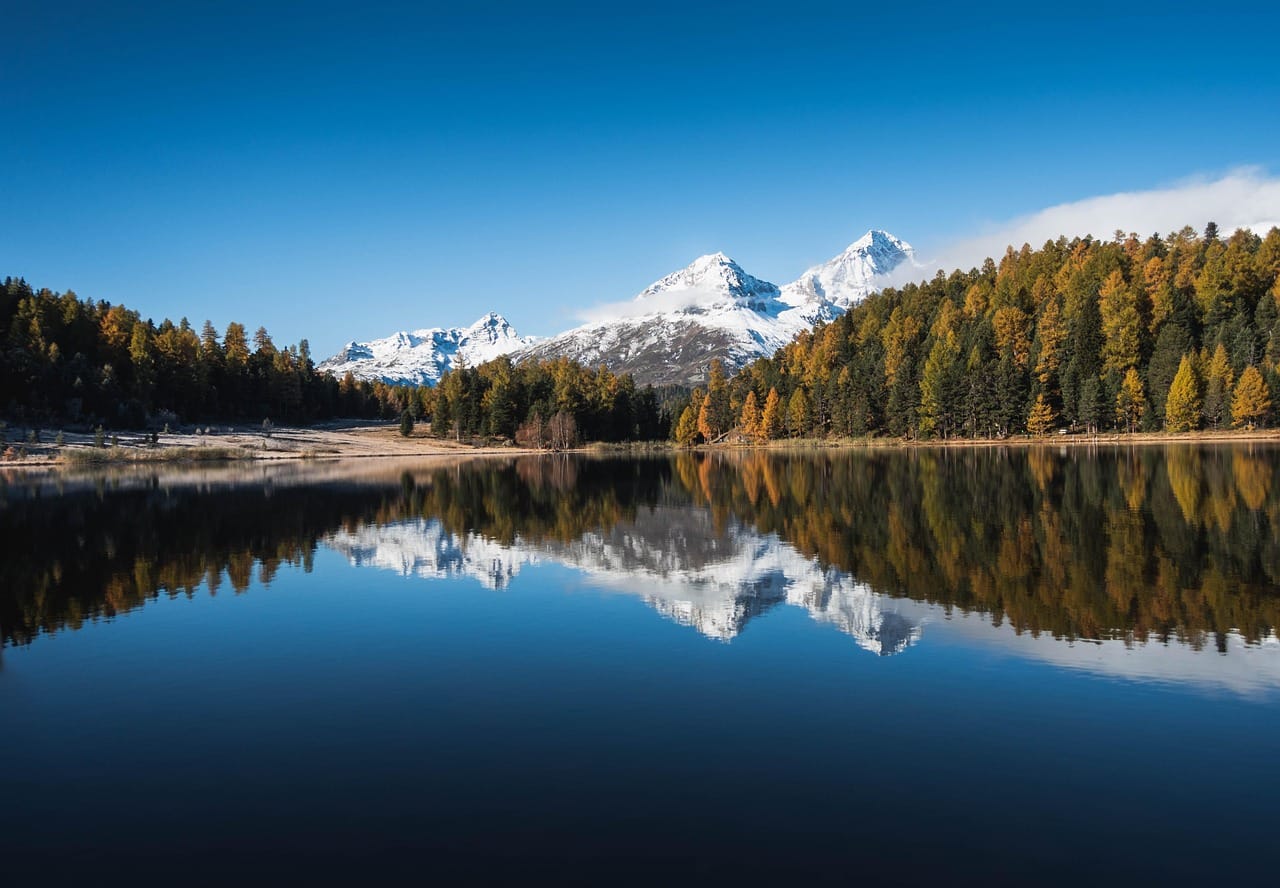Forestation in China is linked to water and ecosystem trade-offs