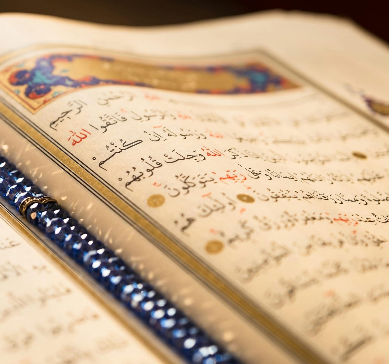 Review finds Hall rethinks race in Muslim West African history