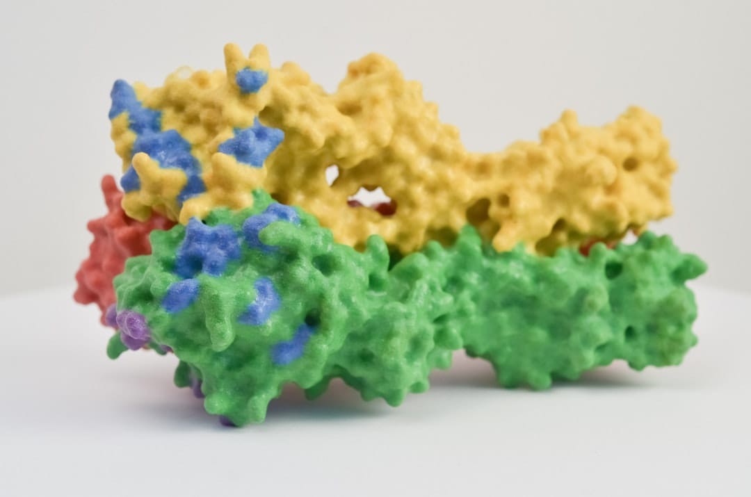 Pharmacology, Toxicology and Pharmaceutics research