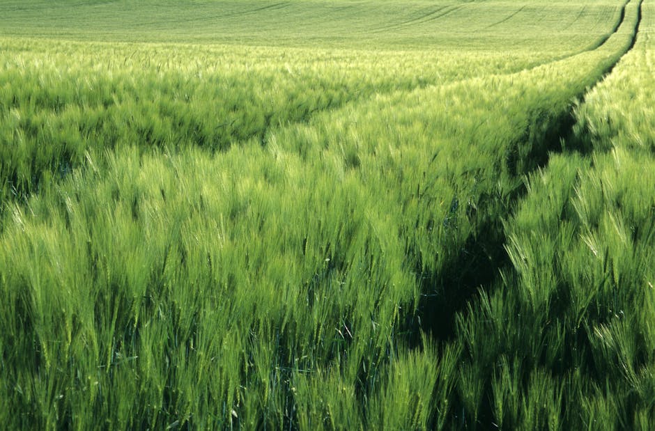 Agricultural and Biological Sciences research