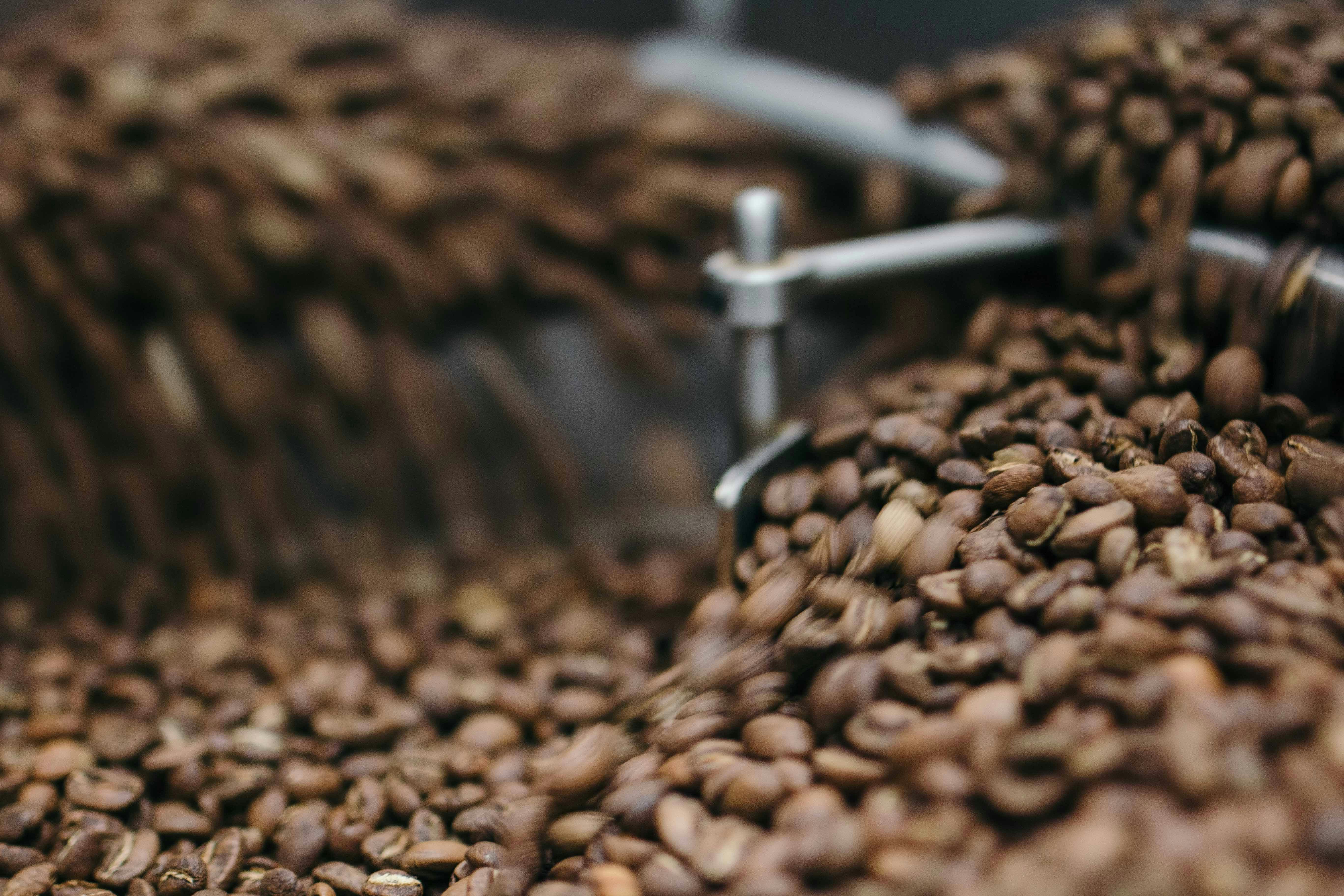 JIT adoption faces barriers in Jember coffee shops