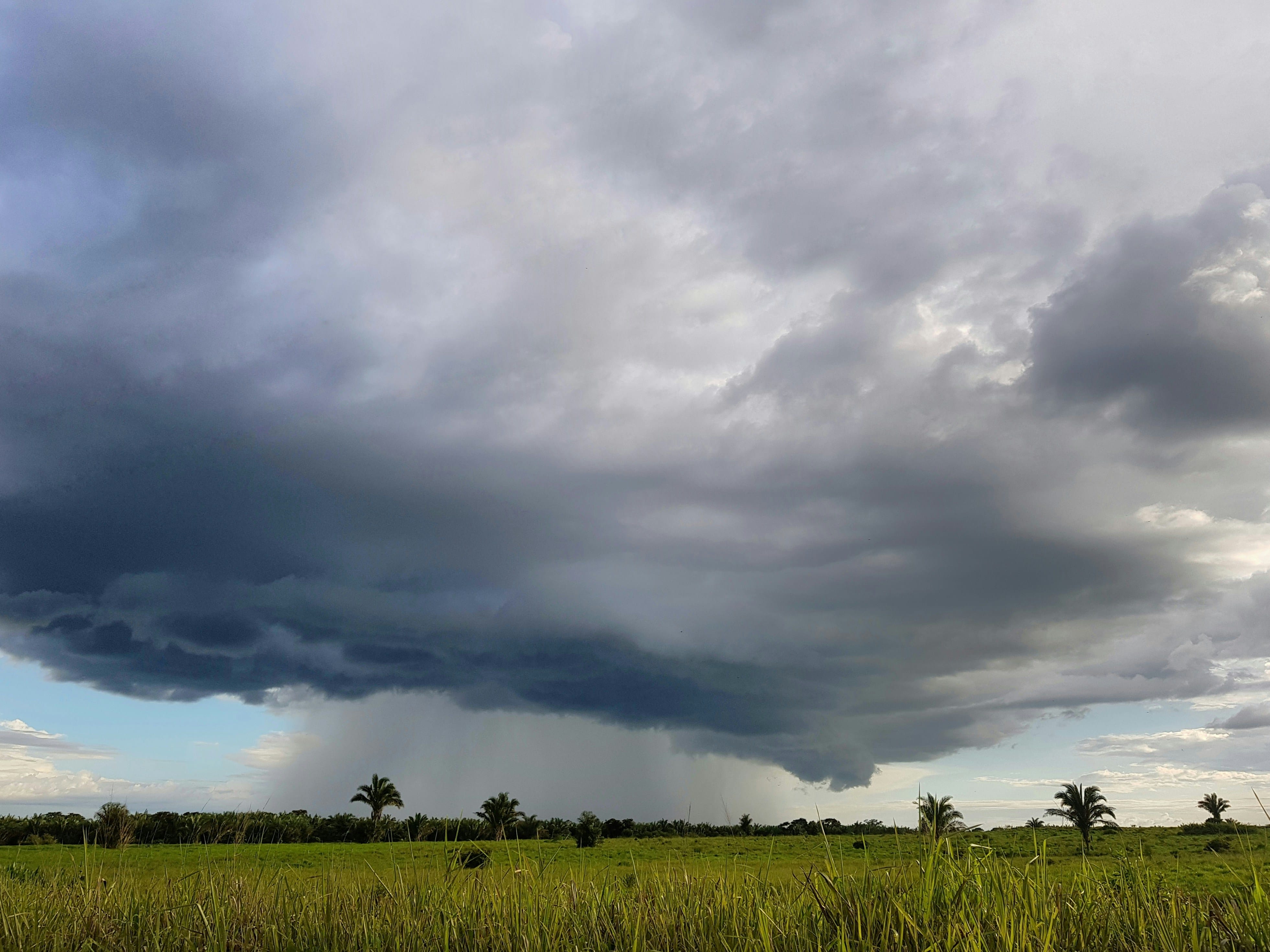 Downscaled projections show stronger rainfall extremes in two Philippine basins
