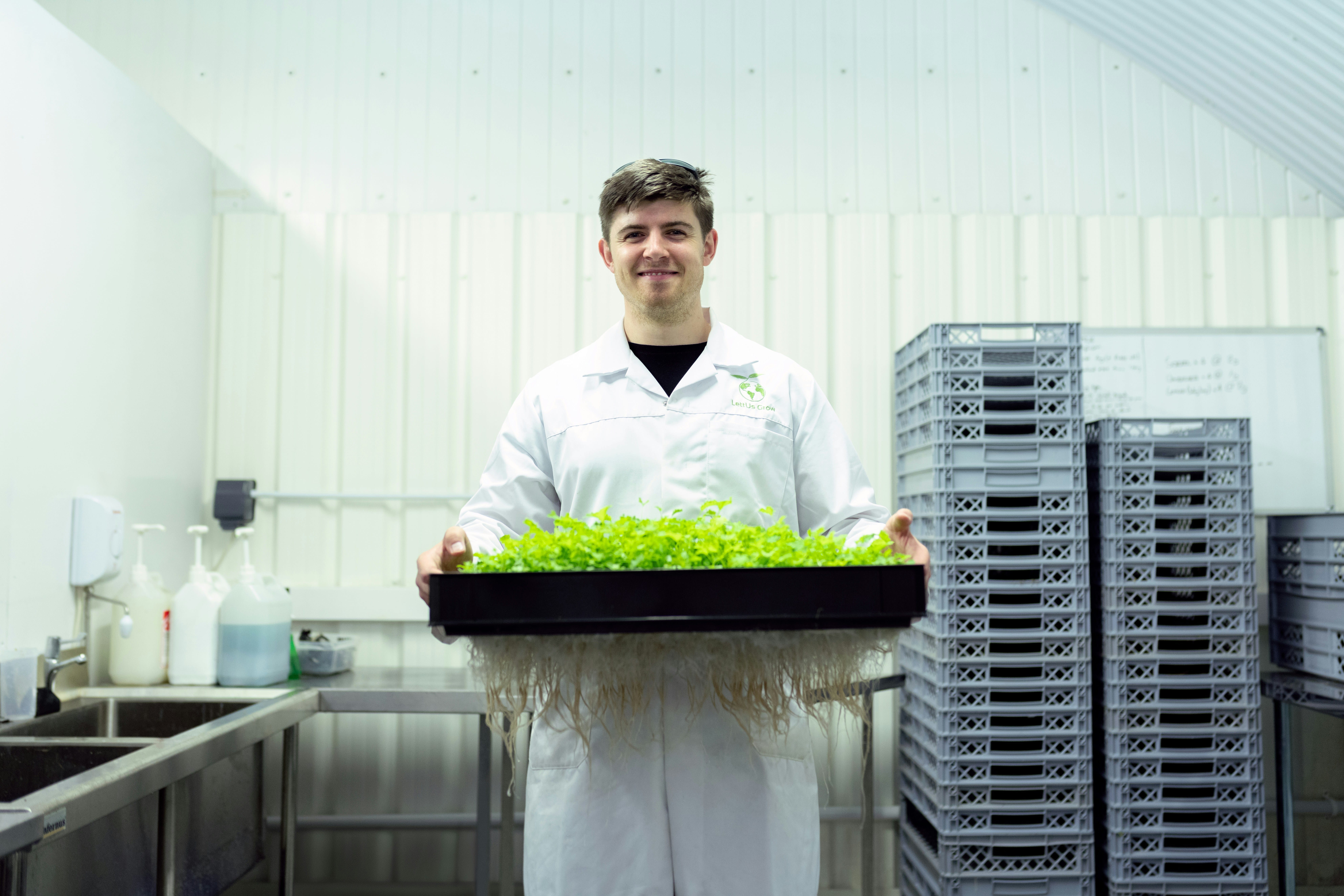 Urban precision fermentation may support decentralized food production