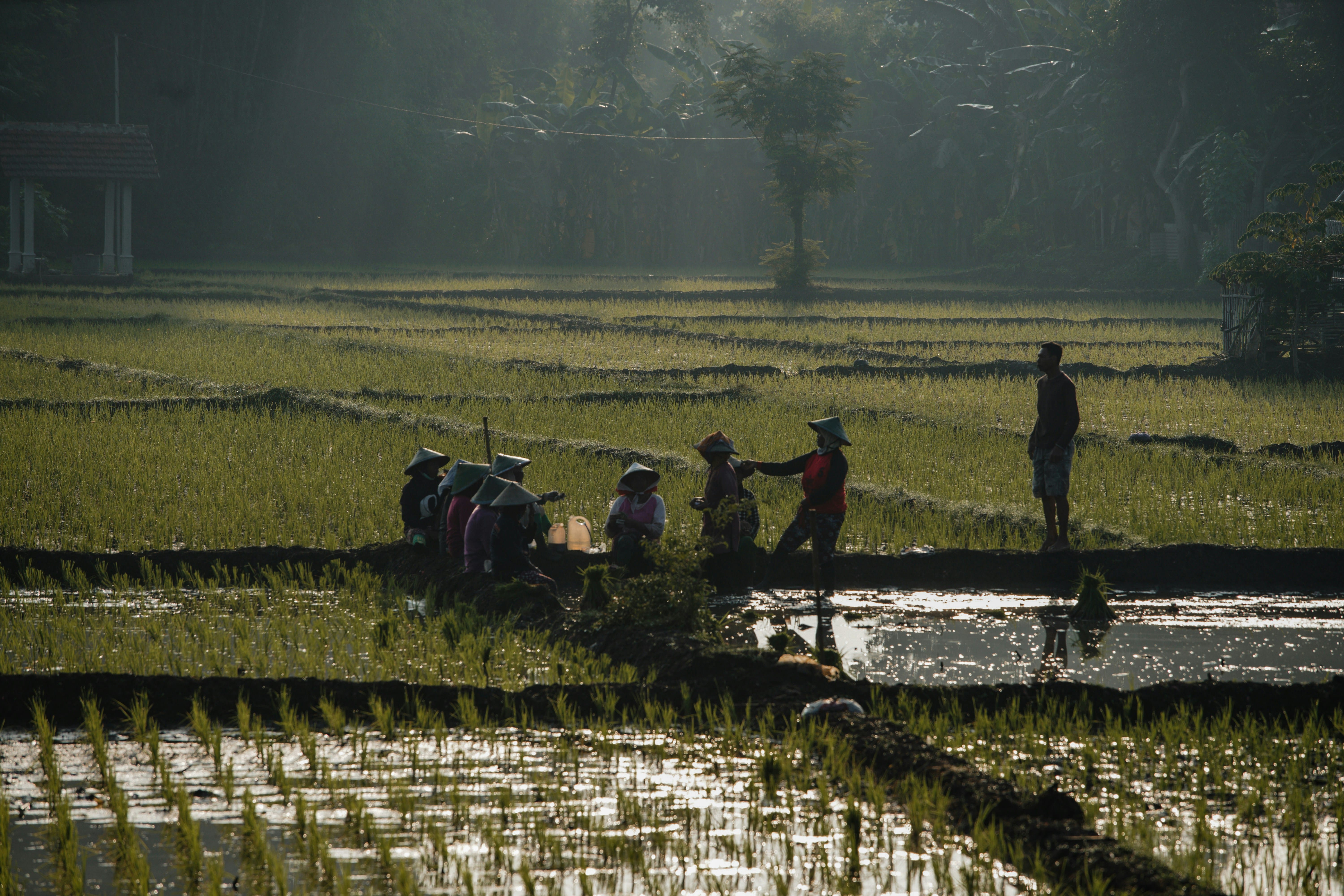 Wartime food prices rose sharply during the Indonesian War of Independence