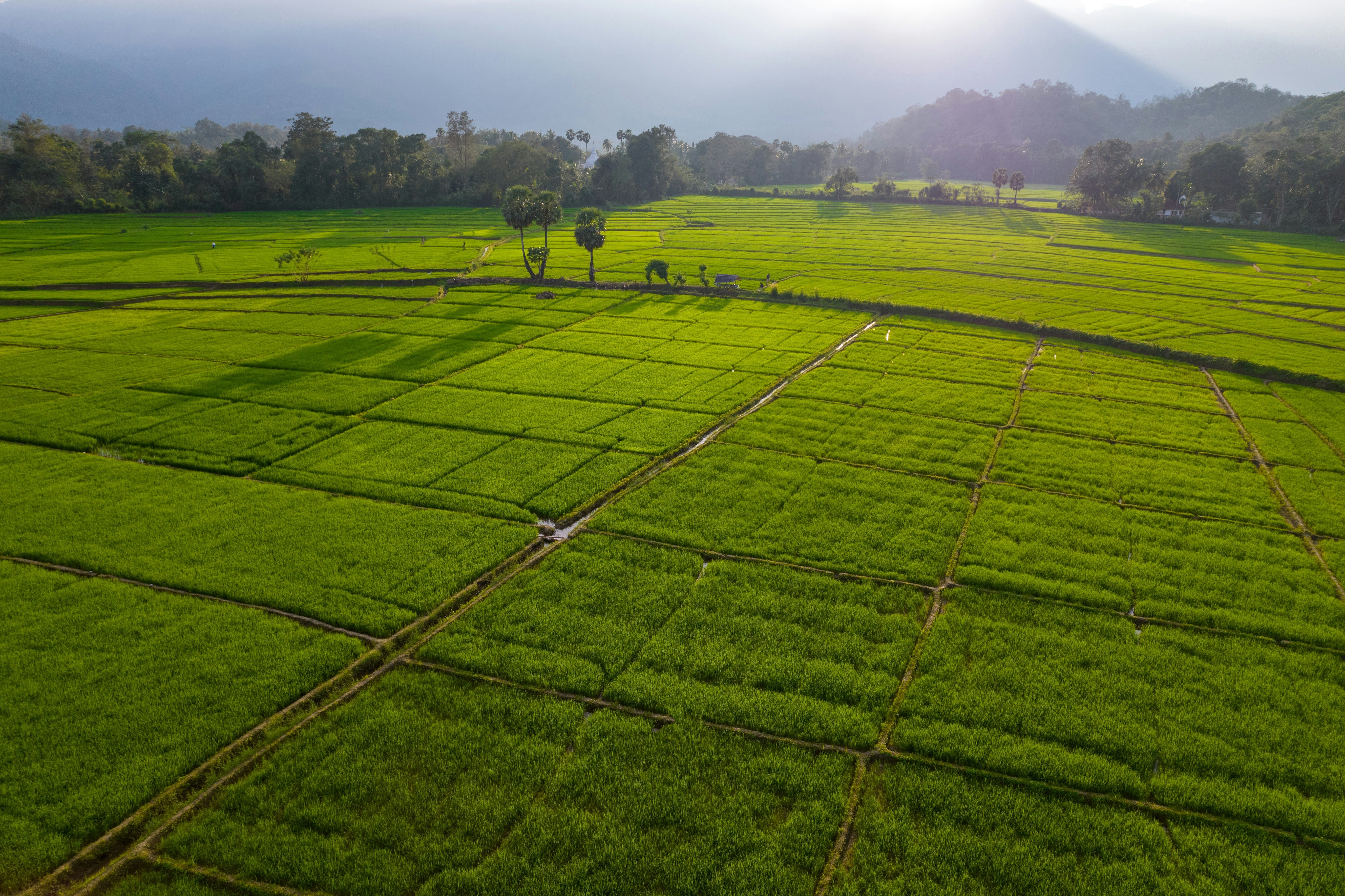 Village clustering helps localize sustainability planning in Nagpur region