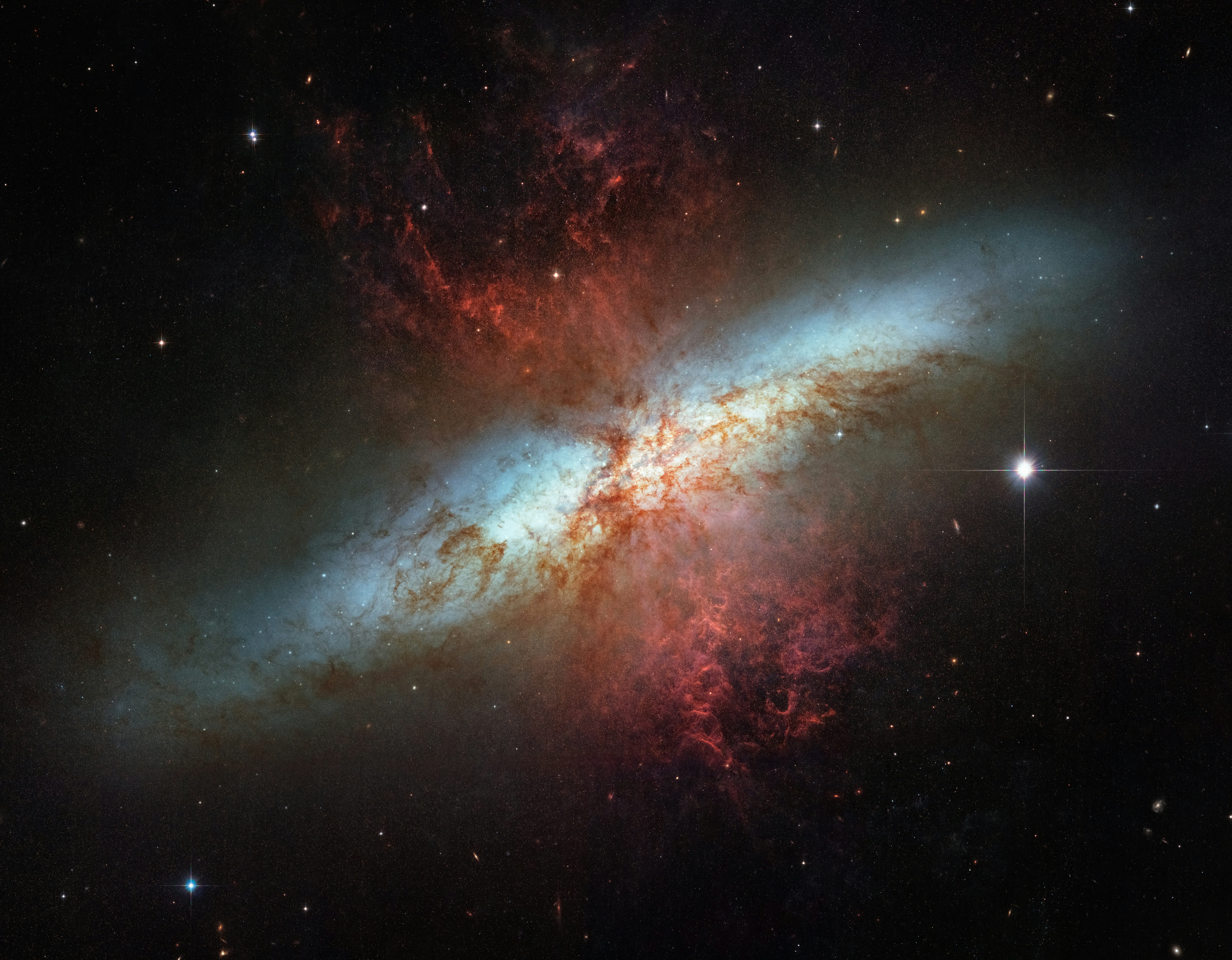 Supermassive stars may match JWST little red dot spectra