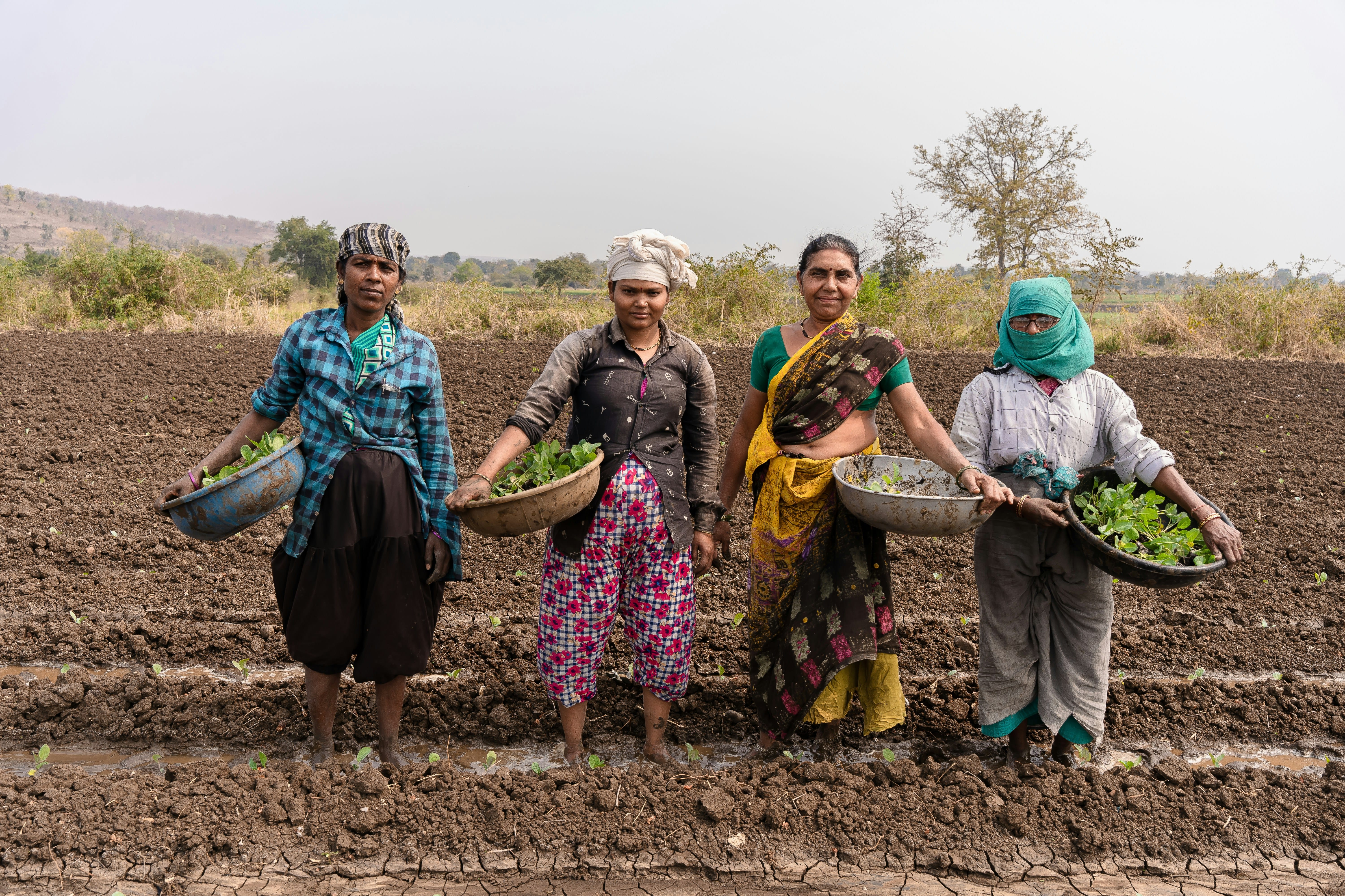 Four farmers standing together in a plowed field, each holding baskets or containers of fresh harvested vegetables, wearing casual work clothing in a rural landscape setting.