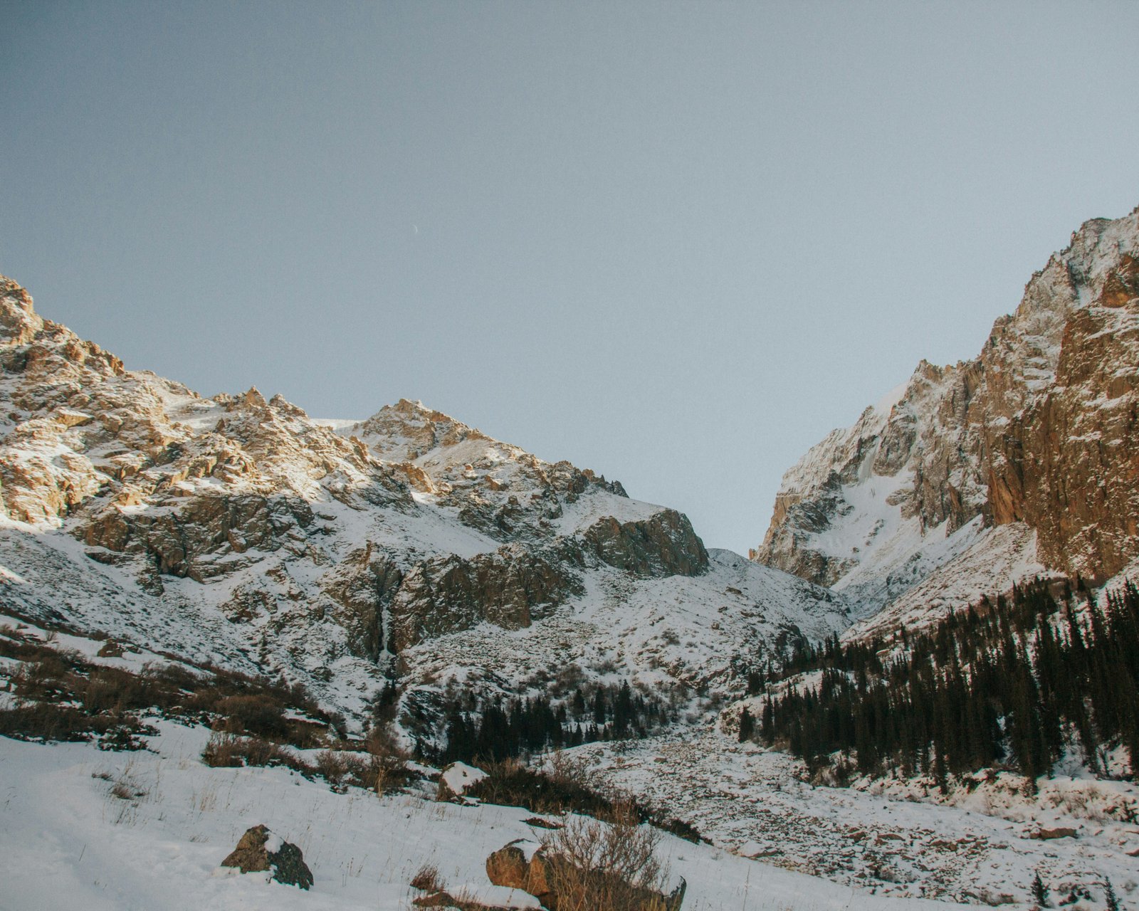 Mammal and bird ranges may shift uphill in the Altai Mountains