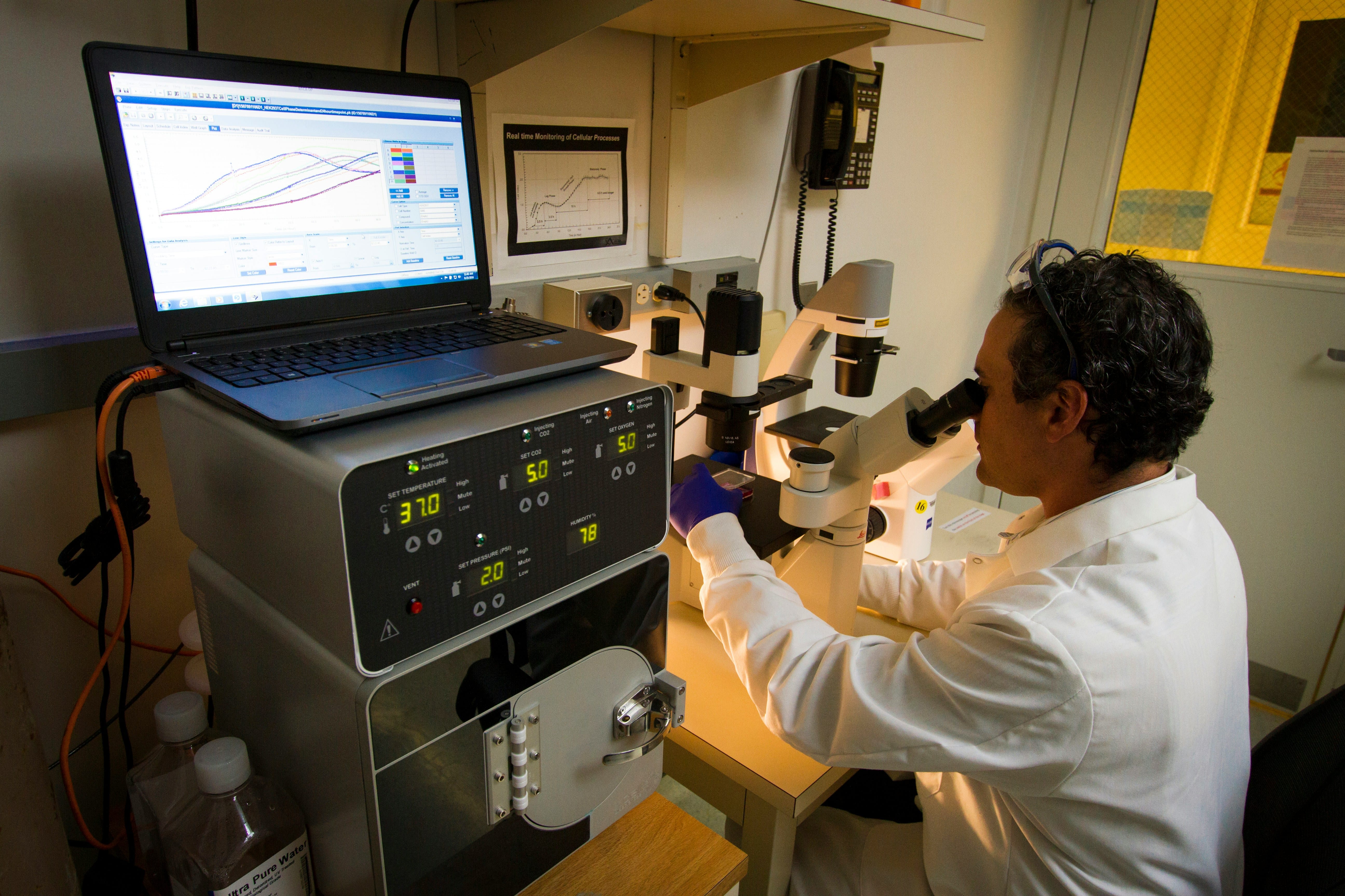 Review finds neurophysiological and neuropsychological markers are established endophenotypes