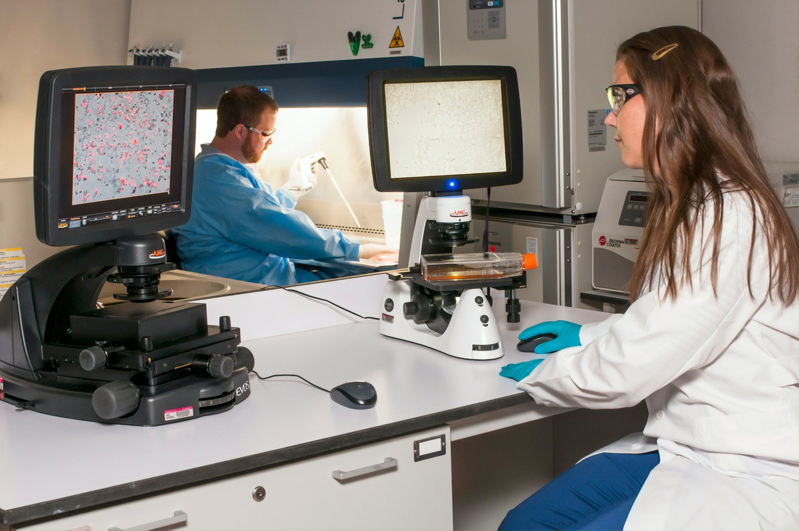 Complex chromosome 6 inversions produced recombinant offspring