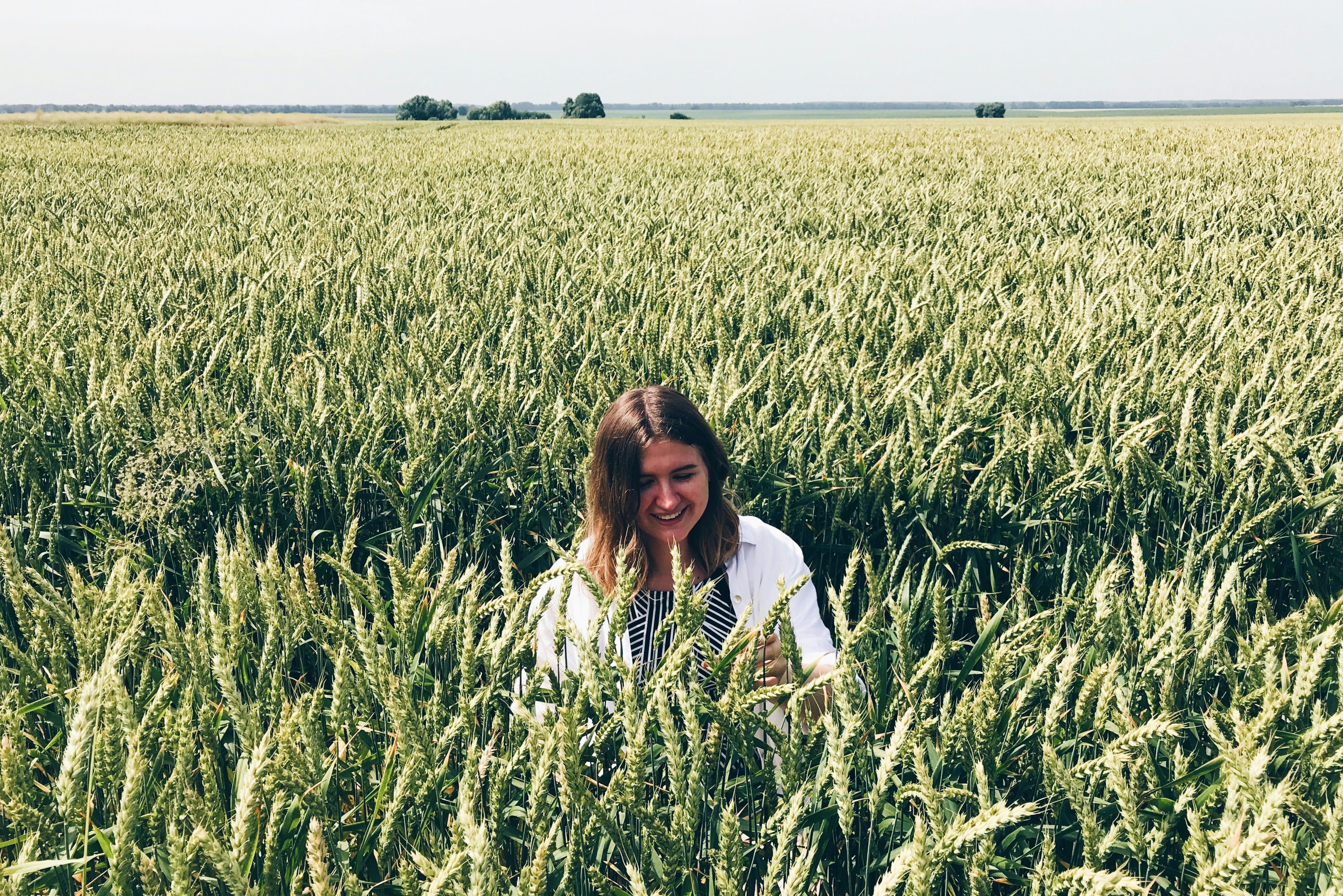 GWAS identified loci linked to 15 wheat DUS traits