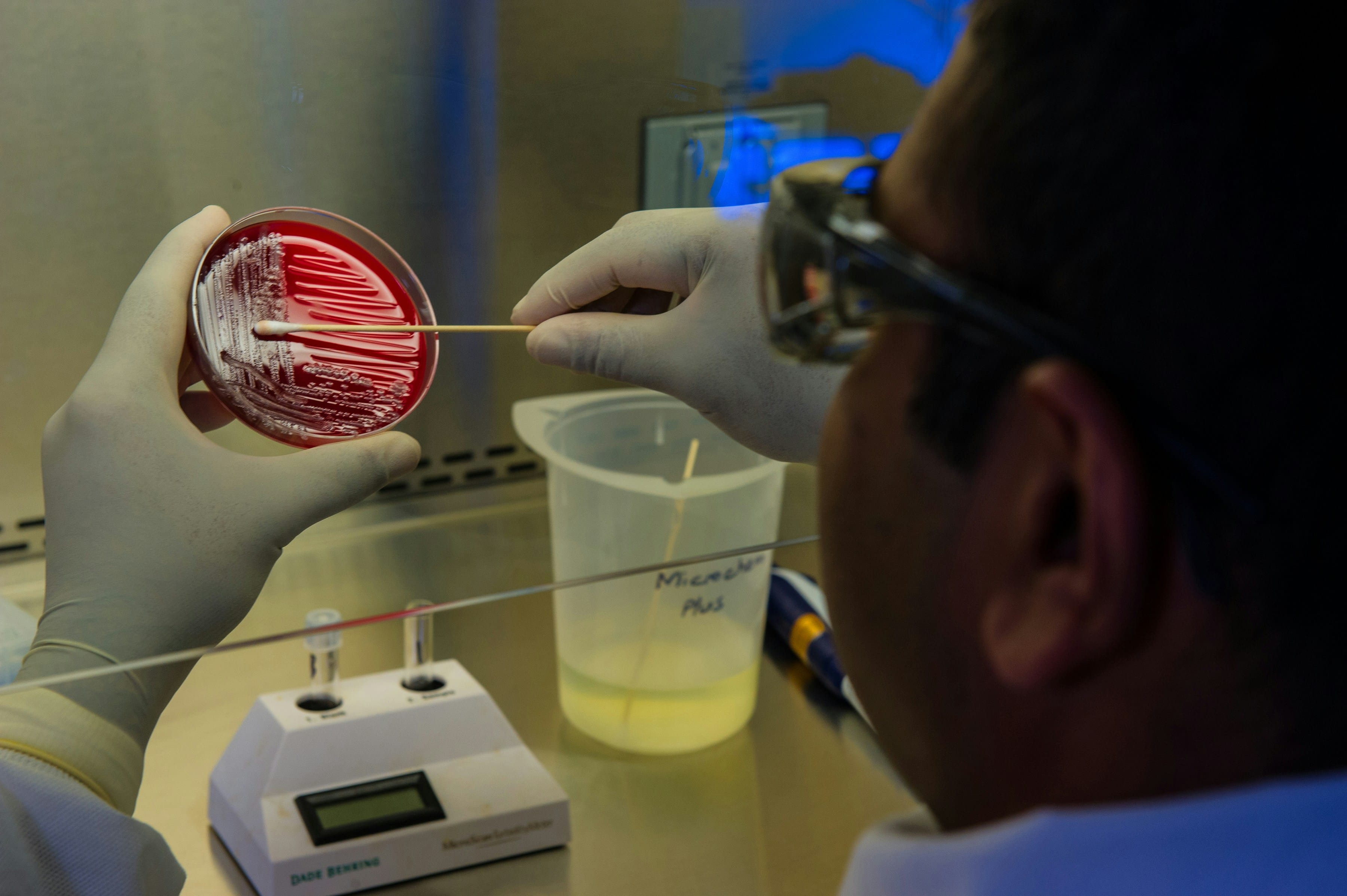 Compensatory mutations showed limited effect on MDR/RR-TB clustering