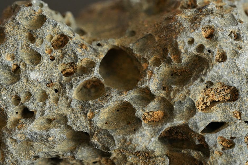 Data-informed modeling characterizes water absorption in porous materials