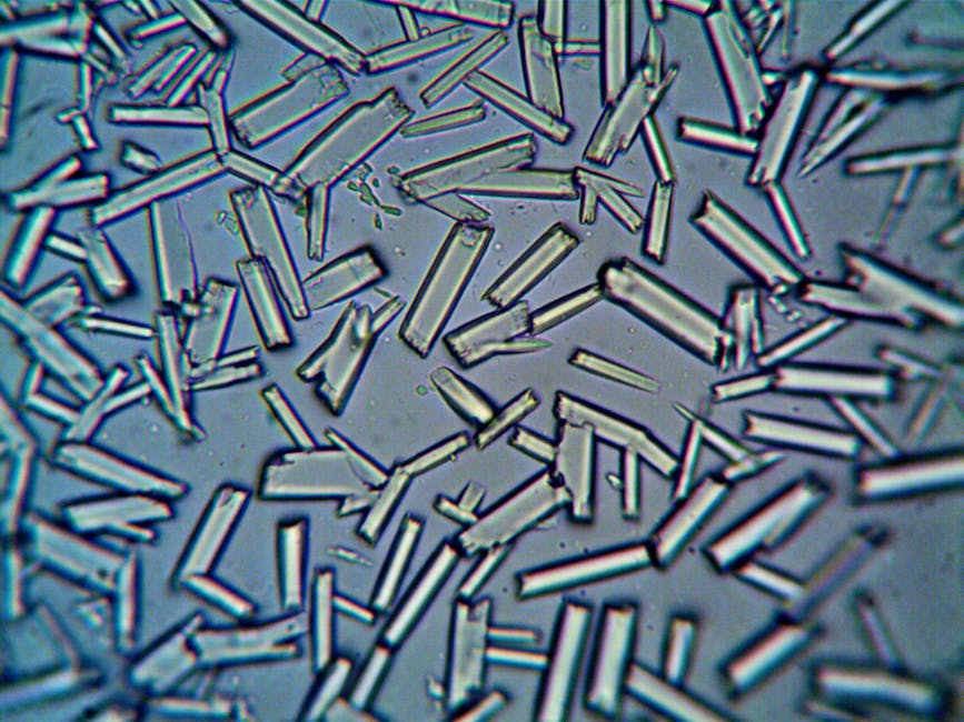 DAO reaches perfect match rate in crystal structure prediction