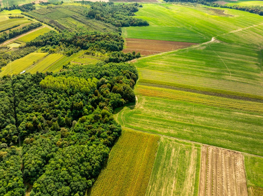Ethiopia’s protected areas reduce forest loss but bring food costs