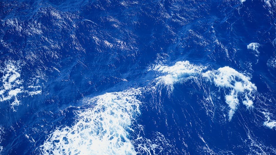 Ocean wind waves show resonant interactions in the open sea