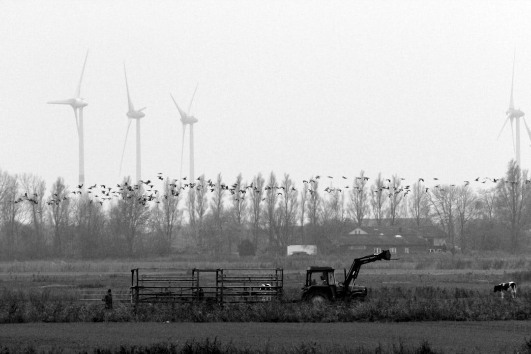 Reinforcement learning improved wind farm power in a three-turbine test