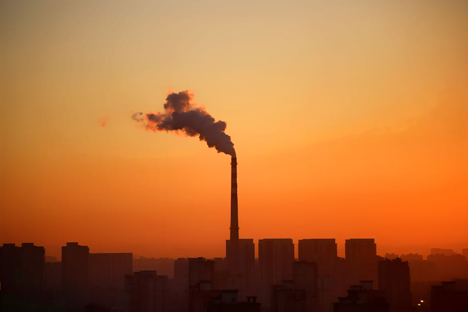 Most studied cities show relative decoupling from fossil fuels