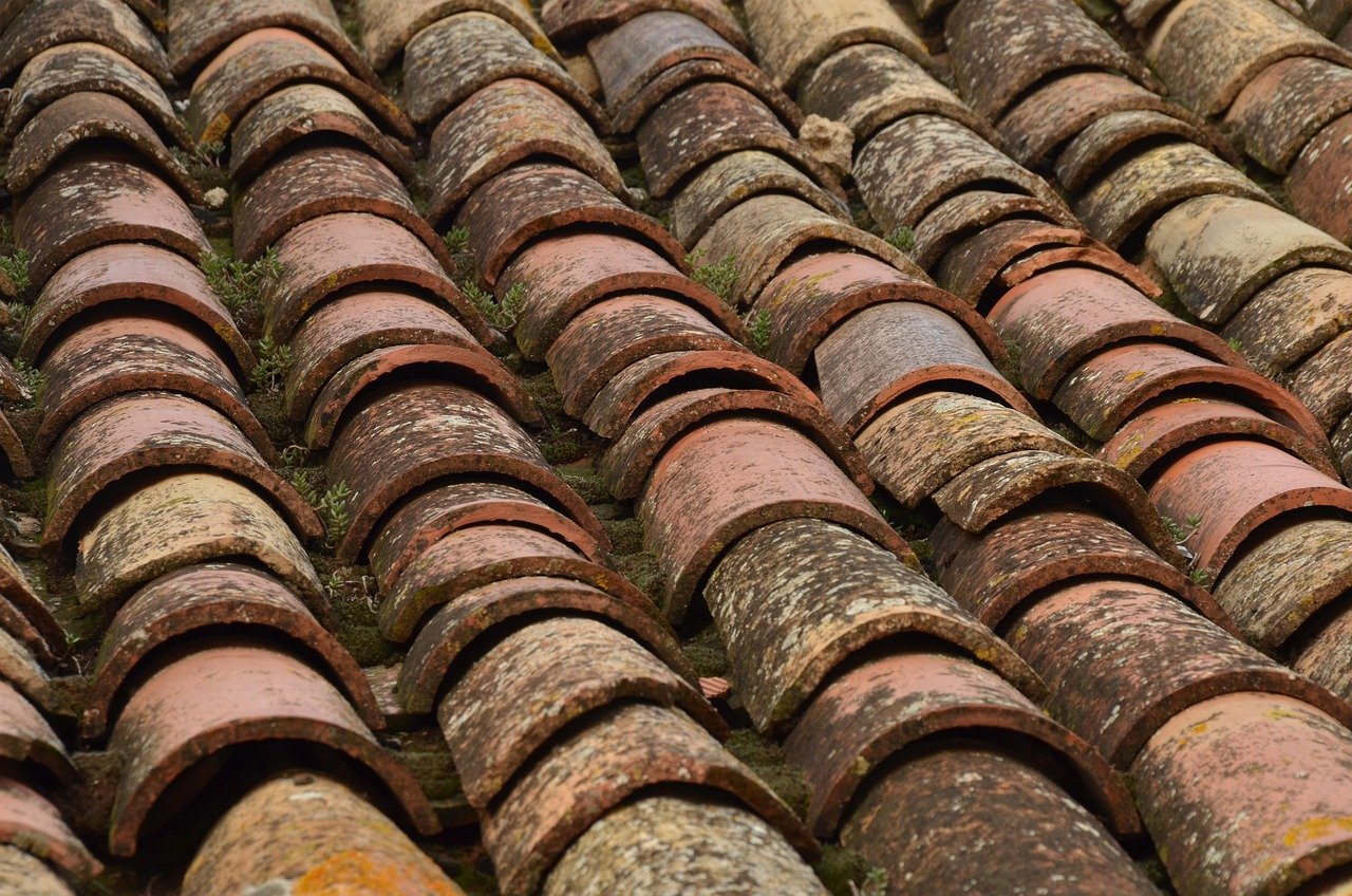 Regular local rings characterized by analogue properties