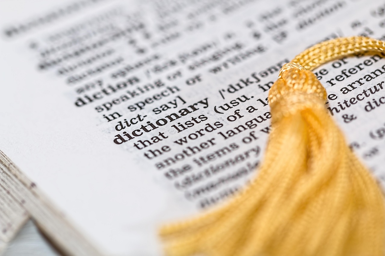 Review links AI literacy and emotions in language education