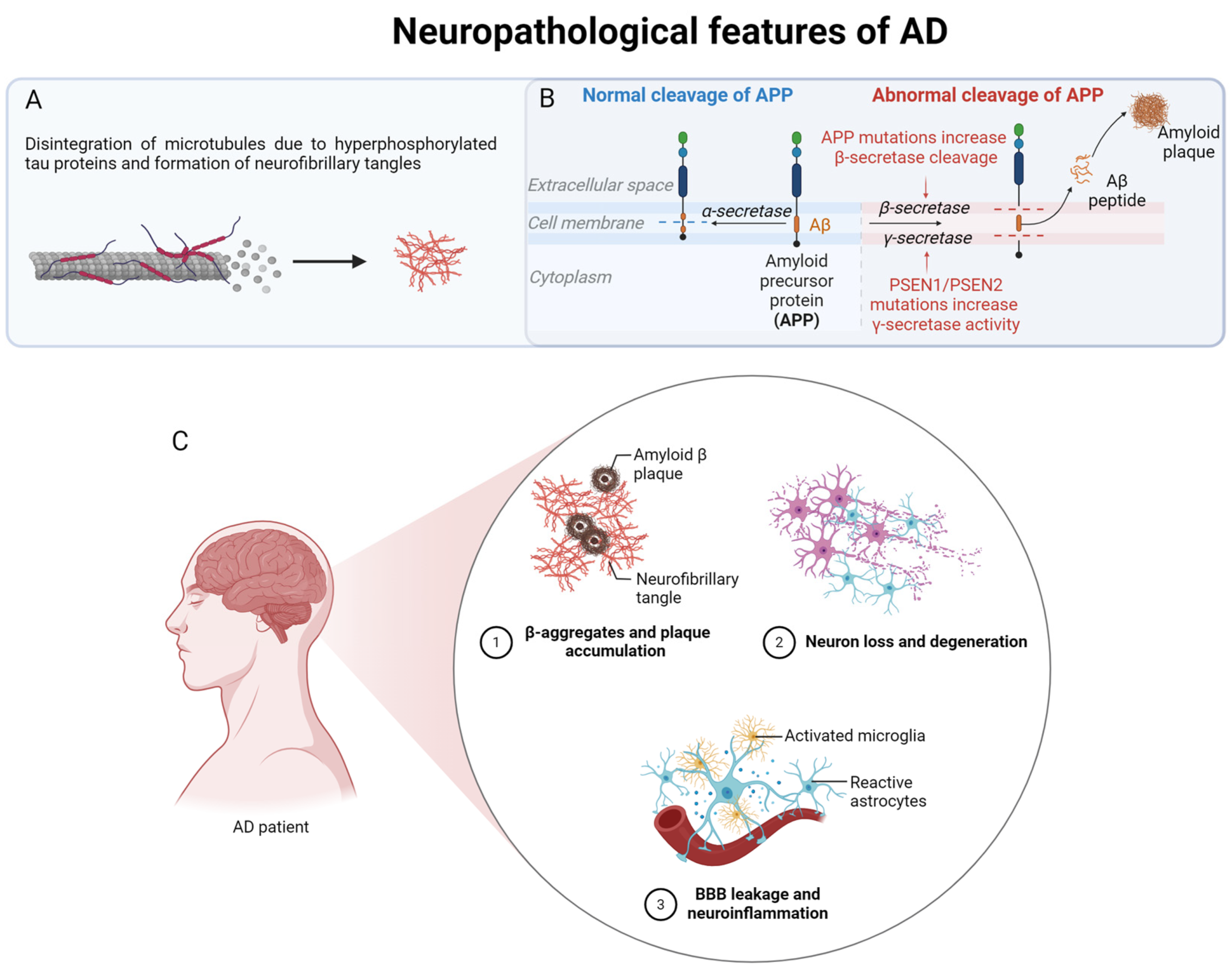 Blood-based Alzheimer biomarker results in mild cognitive impairment remain hard to interpret