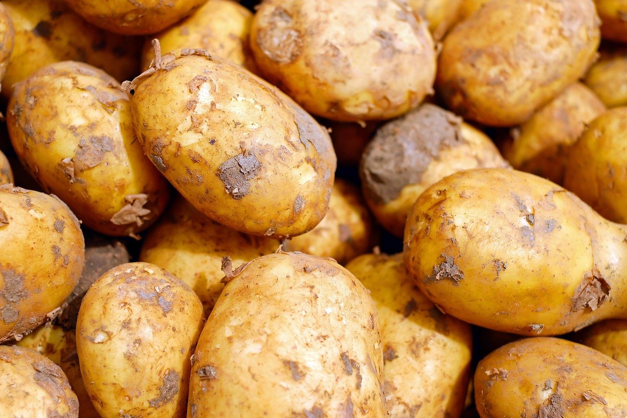 Agricultural and Biological Sciences research