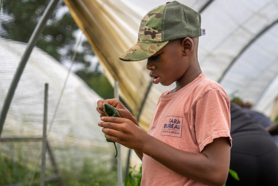 Veteran farmers report varied production, land access, and income