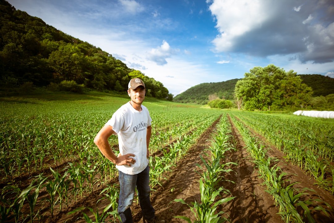 Veteran farmers showed age-related differences in learning preferences