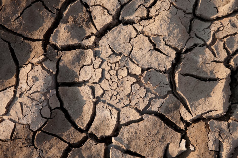 Global drought propagation varies by climate and geography